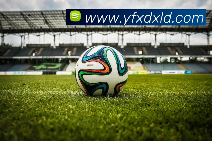 体育数据展示